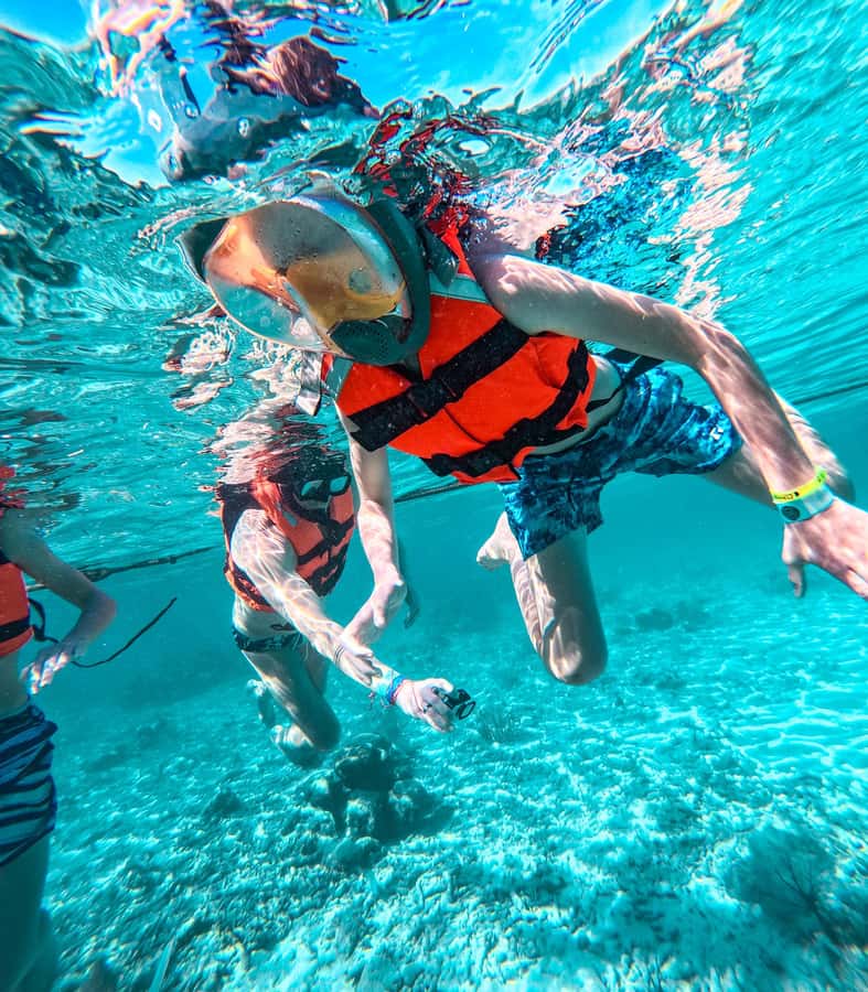Akumal: Sea Turtles Snorkeling Tour with Park Entry Fee - The Main Event, Sea Turtles Swimming Nearby (With Respect)