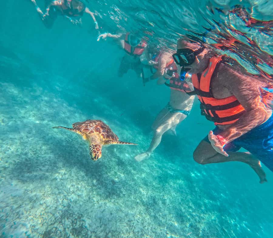 Akumal: Sea Turtles Snorkeling Tour with Park Entry Fee - Getting Ready at OXXO and the Short Walk Into the Park Area