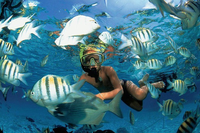 All Inclusive Caribbean adventure, reef snorkeling, Food & Drinks - Reef snorkeling: what is included, and what to watch for