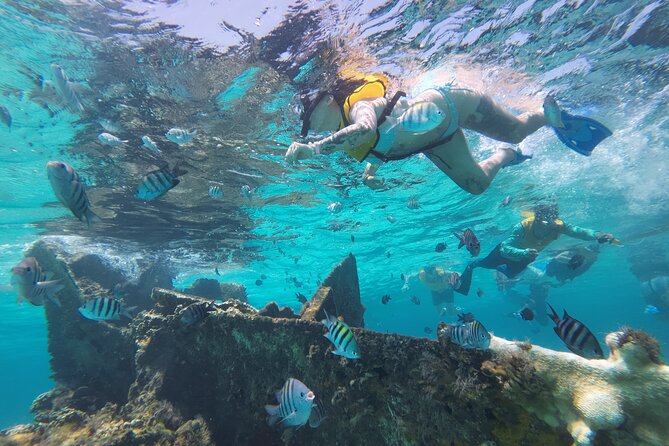 All-Inclusive Isla Mujeres Catamaran with Free Transportation - Stop at Playa Tortugas: what the first timing is really for