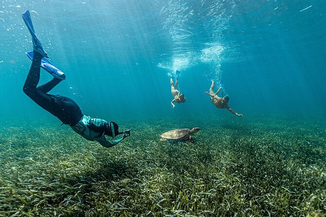 All-Inclusive Isla Mujeres Catamaran with Free Transportation - The Blanquizal sandbar swim stop: why this moment is worth planning for