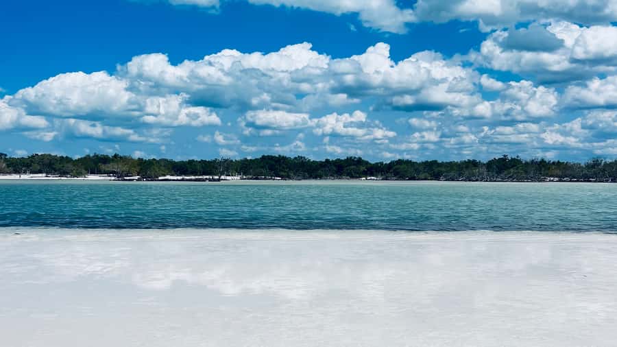 All inclusive Visit to Holbox Island - Key Points You Should Know Before You Go