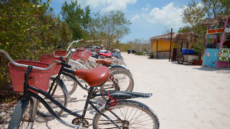 All inclusive Visit to Holbox Island - Your Guide and Group Feel: What Usually Matters Most