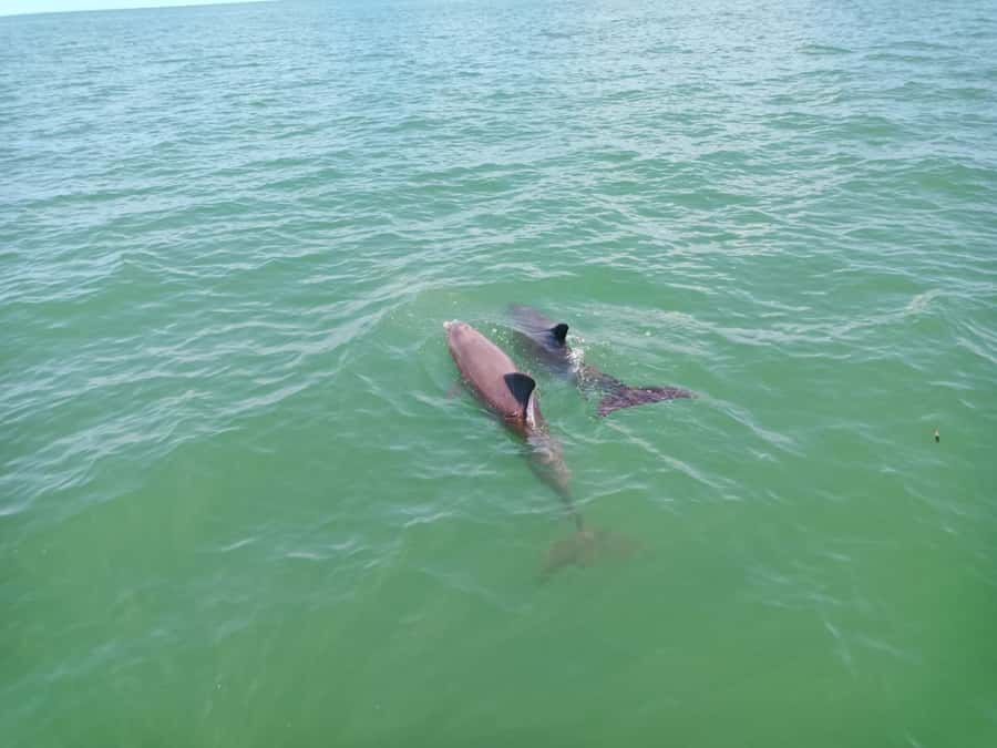 All inclusive Visit to Holbox Island - What to Pack: The Small Stuff That Makes the Day Easier