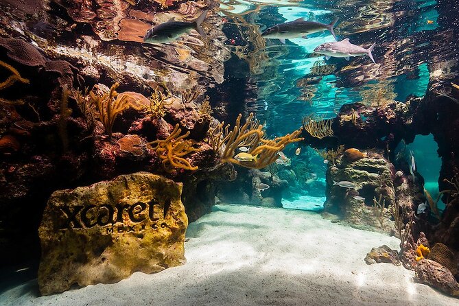All-inclusive Xcaret Park with Transportation from Cancun & Playa Del Carmen - Your 7:00 AM Start and How to Use the Time Wisely