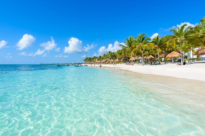 Amazing Adventure in Akumal. Swim with turtles and discover Tulum Ruins. - Transportation, pickup windows, and the comfort you might feel