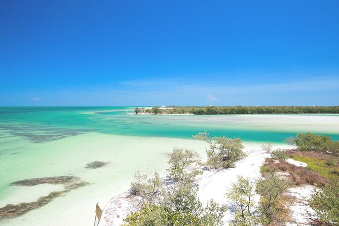 Amazing HOLBOX Full day tour and Cenote swim experience from Cancun! - Value Check: Is $119.90 a Good Deal?