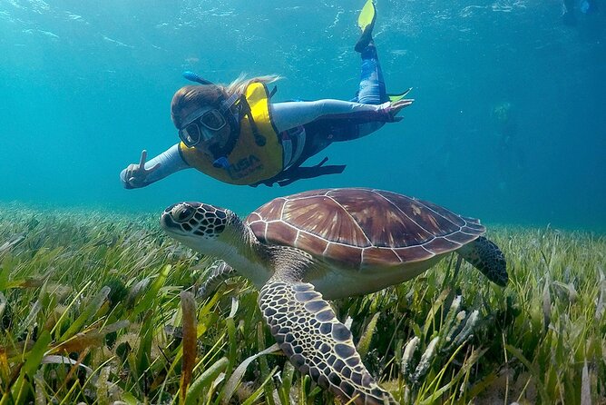 Amazing Snorkeling Experience in Cancun - Key highlights at a glance