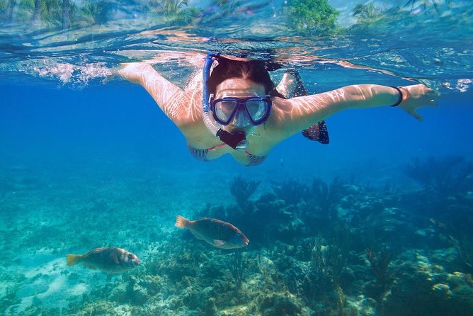 Amazing Snorkeling Experience in Cancun - Why this snorkel setup is easier than you think