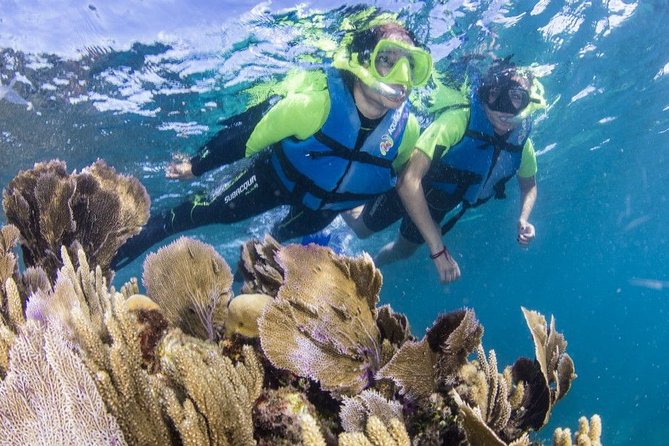 Amazing Snorkeling Experience in Cancun - The 3-hour rhythm: quick transfers, then time in shallow water