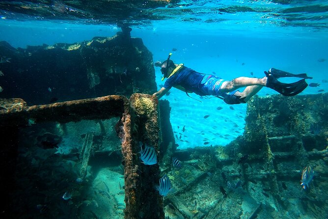 Amazing Snorkeling Experience in Cancun - Stop One: El Meco coral reef and why it’s the perfect opener