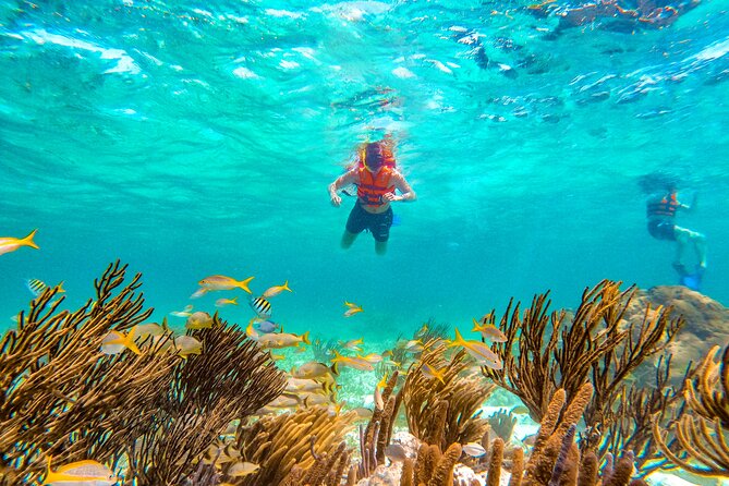 Amazing Snorkeling Experience + Real Mexican Tacos - Guides and group size: where the experience can rise or wobble