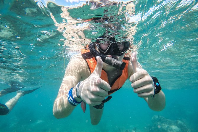 Amazing Speedboat Cancun - Who This Tour Suits Best