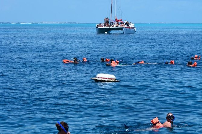 Amazing tour to the beauty Isla Mujeres with Snorkel and open bar - Snorkeling Stop: Coral, Marine Life, and What Guides Actually Do