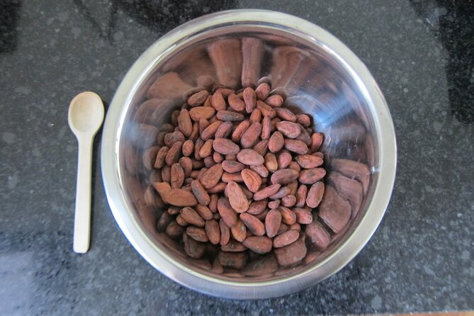 Artisanal Chocolate Bean to Bar Workshop in Cancún - Tempering and molding: the key skills that separate good bars