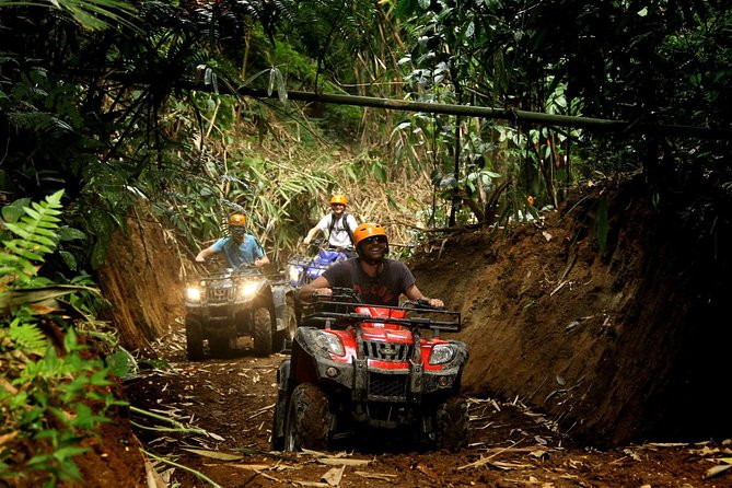 ATV Combo Horseback Riding, ATV, Ziplines, Cenote and Lunch - Gentle Horseback Riding Along a Jungle Trail