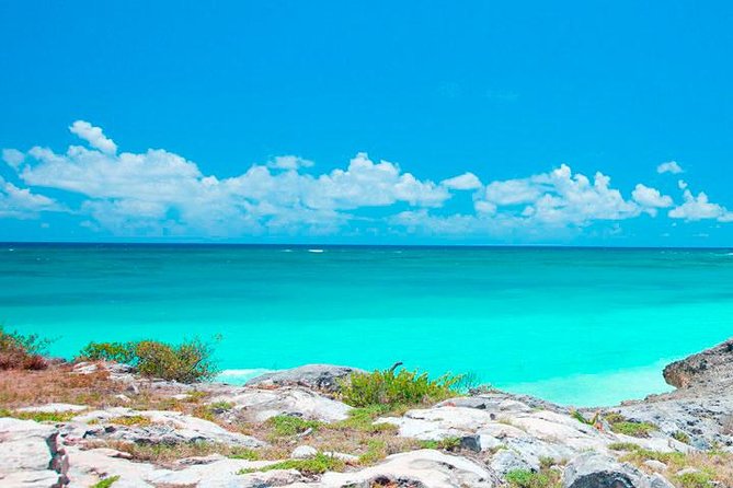 Best Tour to Tulum, Coba and Playa Del Carmen. No hidden fees! - Tulum Beach and Ruins: Go for the Views, Bring the Water