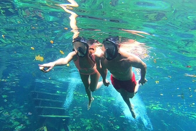 Best Tour to Tulum, Coba and Playa Del Carmen. No hidden fees! - Playa del Carmen on 5th Avenue: Short, Fun, and Mostly Shopping