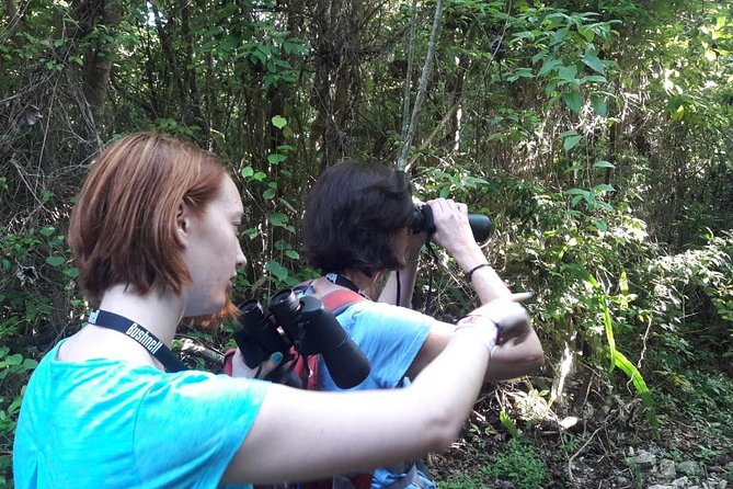 Bird watching ecofriendly tour from Cancun & Riviera Maya - Two Jungle Locations and a Midday Break You Will Appreciate