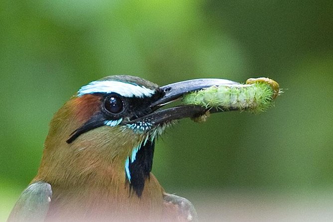 Bird watching ecofriendly tour from Cancun & Riviera Maya - Eco-Friendly Practices and Hygiene Rules You Should Notice