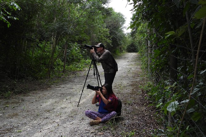 Birds of the Mayan World 2 / Route of the cenotes - Mayan plants and why they matter on a birding tour