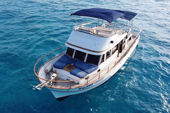 Boating Experience in Cancun Bay. All inclusive. - Food and drinks on board, plus the Leon factor