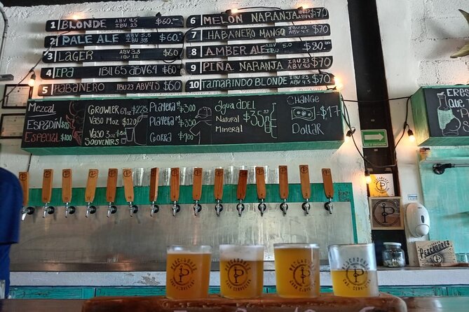 Brewery Tour / Craft Beer Tasting Cancun Mexico - Stop Two: a guided beer tour with local snacks and browsing time