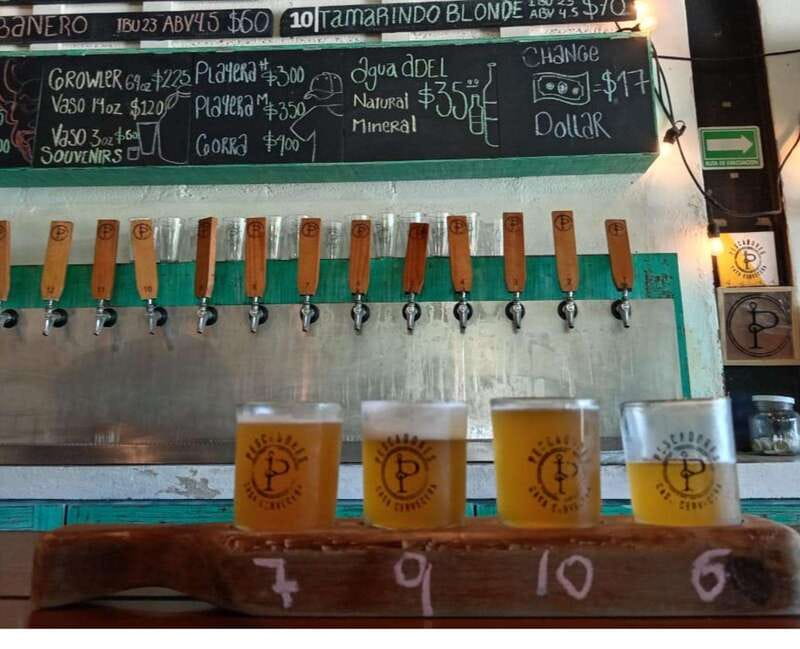 Brewery Tour / Craft Beer Tasting Cancun Mexico - Transportation and timing: small rules that keep the day smooth