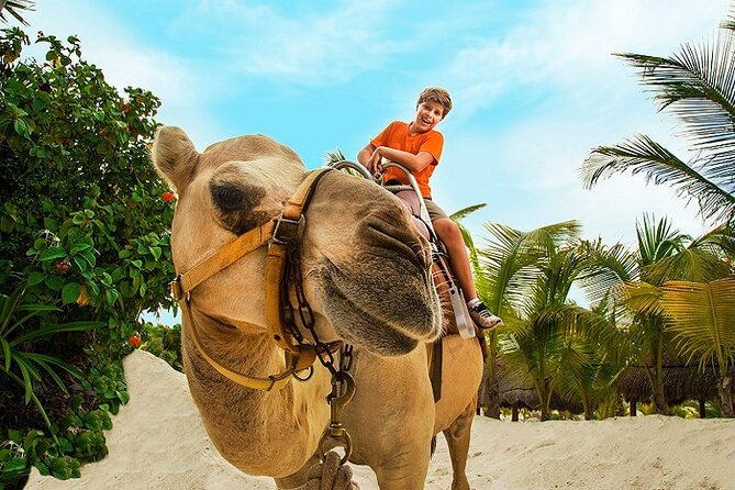 Camel Expedition and Beach Club In Riviera Maya - Photos and Phone Rules: The Add-On That Can Change the Cost