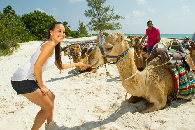 Camel Expedition and Beach Club In Riviera Maya - Value at $144: When It Feels Like a Good Deal, and When It Does Not
