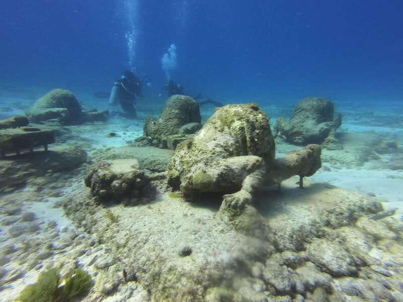 Cancun: 2-Tank Dive for Beginners with MUSA and Reef Dive - Key highlights to look for