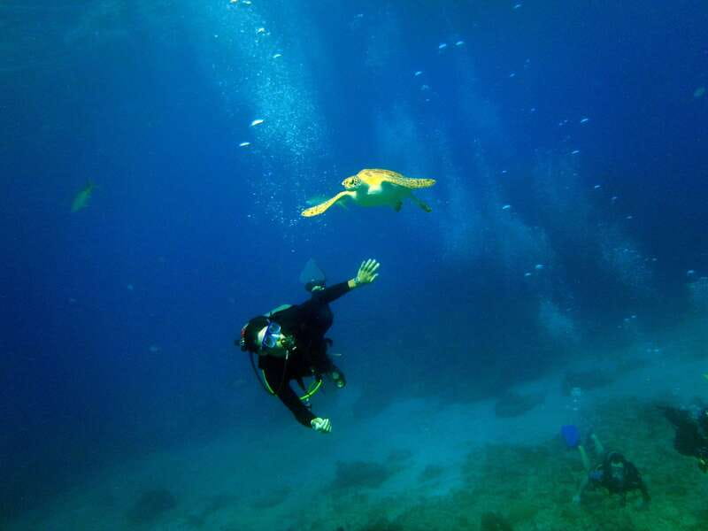 Cancun: 2-Tank Dive for Beginners with MUSA and Reef Dive - A 6-hour Cancun scuba intro that avoids the long course
