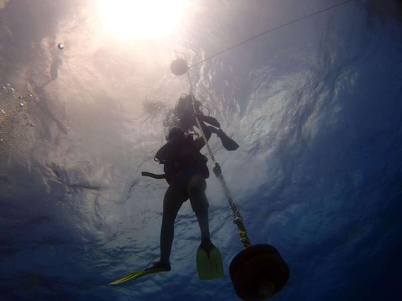 Cancun: 2-Tank Dive for Beginners with MUSA and Reef Dive - MUSA underwater museum: 400 sculptures and odd-but-fun atmosphere