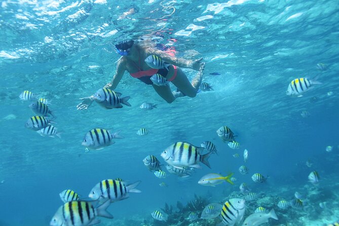 Cancun 4 hour Private Yacht Experience with Lunch and Open Bar Onboard - Who This Yacht Trip Fits Best