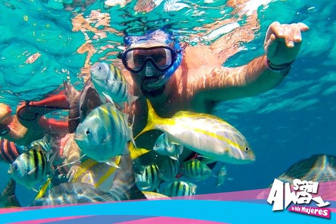Cancun Adults Only Party Cruise to Isla Mujeres with Open Bar - Price and logistics: how the $69.99 turns into your real budget