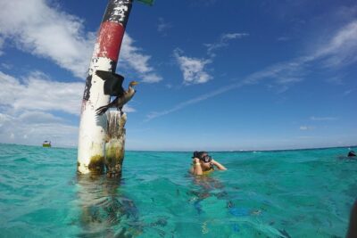 Cancun Adventure: Reef Snorkeling & Parasailing Experience