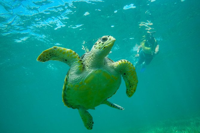 Cancun Adventure: Reef Snorkeling & Parasailing Experience - Weather Reality Check: When Parasailing Might Change