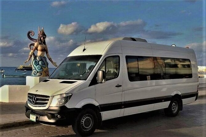 Cancun Airport and Hotel Riu Palace Las Americas Private Shuttle - Pickup timing and vehicle size: getting what you paid for