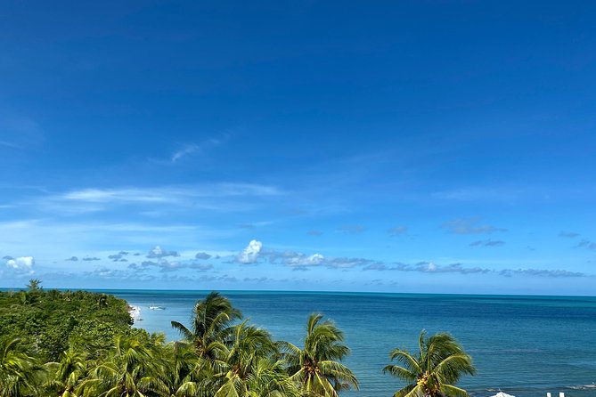 Cancun Airport Shared Shuttle to Holbox Chiquila Port - Why This Cancun-to-Chiquila Shuttle Is Built for Real Holbox Timing