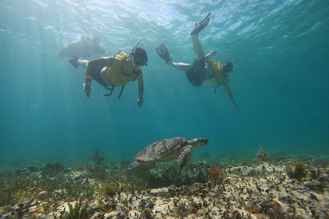 Cancun : All Inclusive Catamaran Tour to Isla Mujeres - Playa Tortugas check-in: the smooth start that sets your day up
