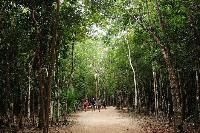 Cancun ATV Adventure, Horseback Riding, Zip Lines, and Cenote - Horseback Riding: The Break From Speed (If You Fit the Limits)