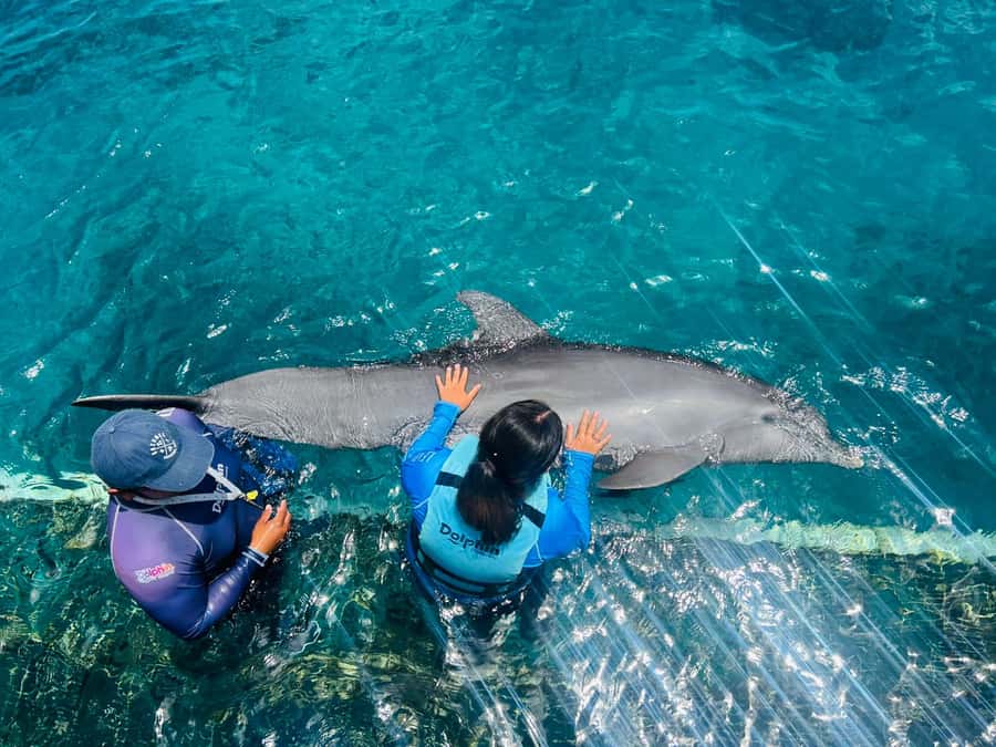 CANCUN: Catamaran and Dolphin Connection at Isla Mujeres - Isla Mujeres Shopping Time: A Real Island Break Between Key Moments