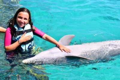 Catamaran and Dolphin Connection at Isla Mujeres