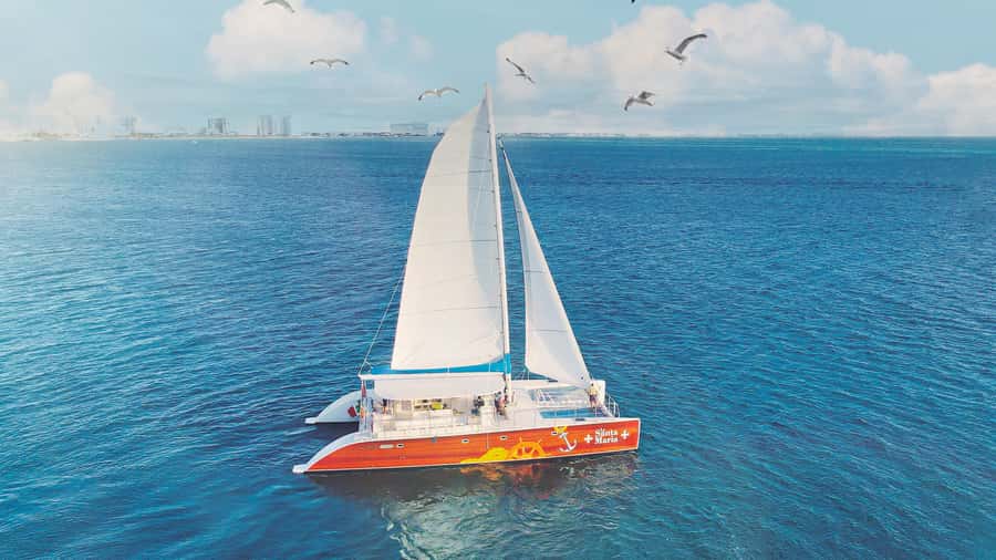 CANCUN: Catamaran and Dolphin Connection at Isla Mujeres - The Dolphin Interaction Itself: Kisses, Hugs, and a Fin Salute
