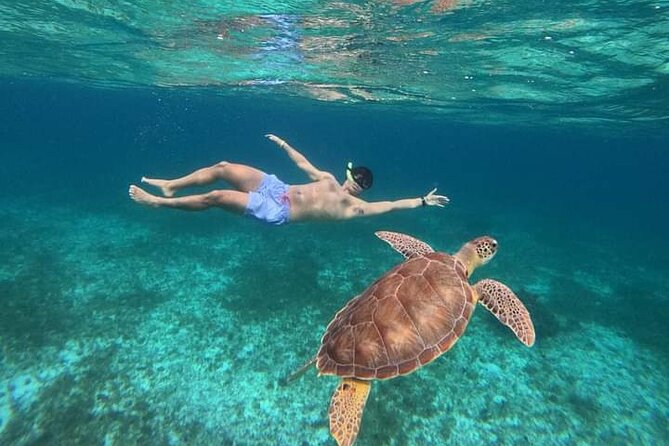 Cancun Catamaran: Sail to Isla Mujeres + Buffet & Drinks - Catamaran comfort: shade, space, and a real crew vibe