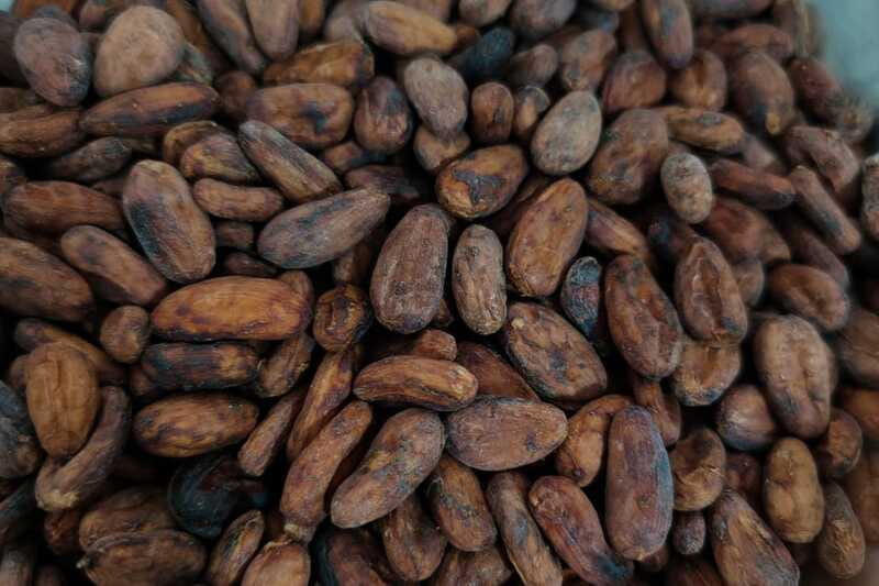 Cancún: Chocolate Making Class and Tasting with Chef - Price and Value: Is $109 Fair for 2 Hours?