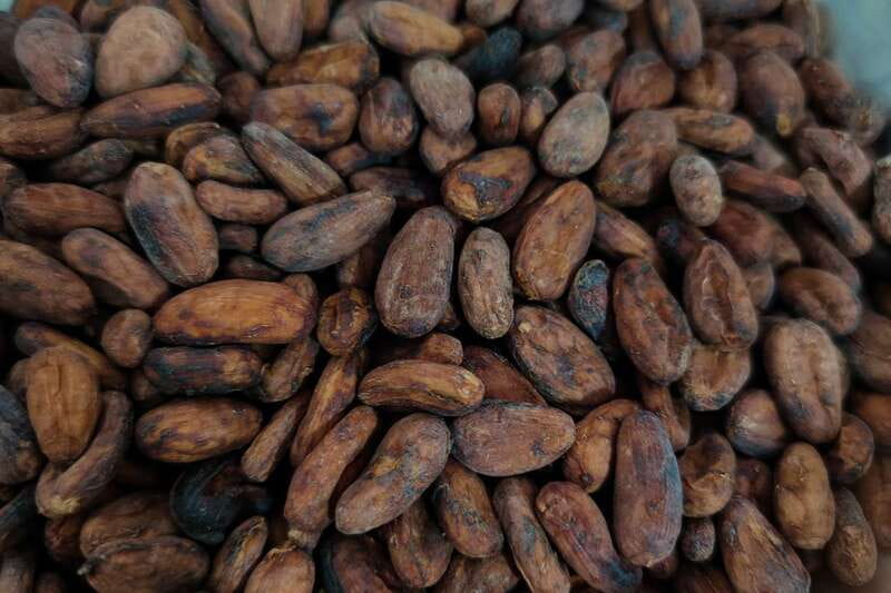 Cancún: Chocolate Making Class and Tasting with Chef - The Story Behind the Chocolate (You’ll Actually Remember It)