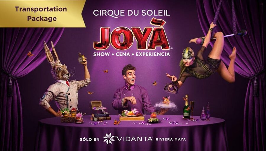 Cancún: Cirque du Soleil JOYÀ Entry Ticket and Transfer - Price and value: is this worth the $106 per person?