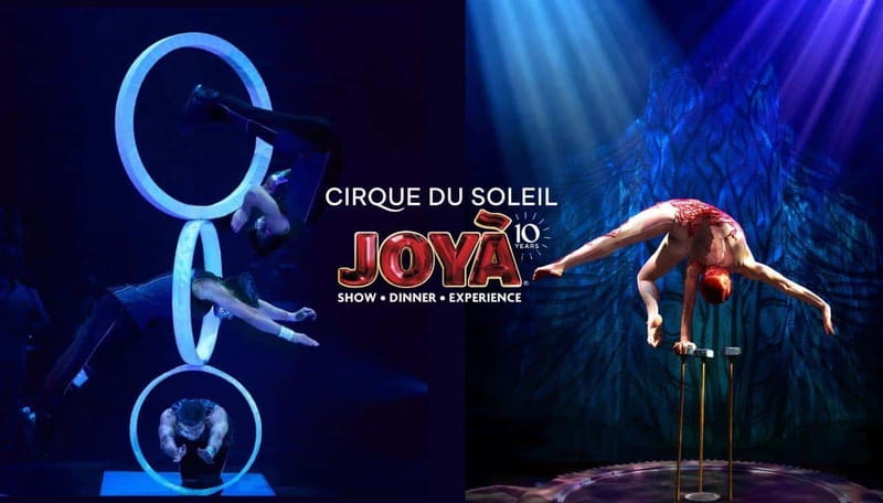 Cancún: Cirque du Soleil JOYÀ Entry Ticket and Transfer - Getting to Vidanta Riviera Maya: how to avoid the most common pickup problems