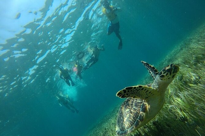 Cancun Combo Adventure: 4 Reef Snorkeling Stops & Parasailing - Certified Guidance, Clear Instructions, and Safety You Can Feel